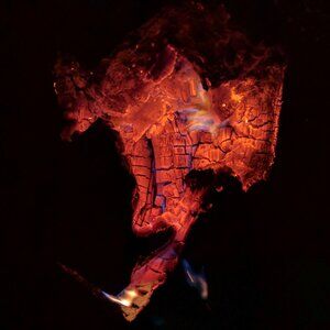 Meet your Posher, Adam